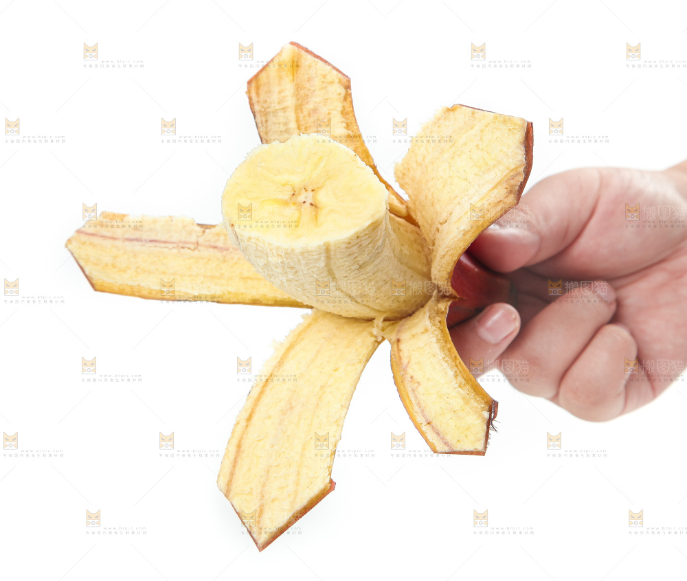 白底上的红皮美人蕉