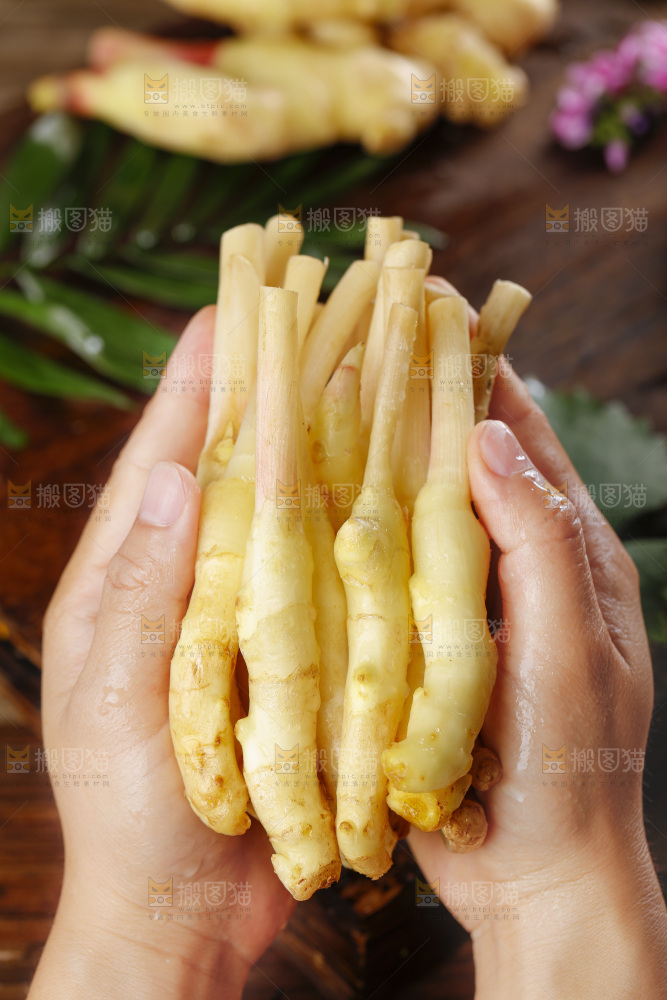 手里拿着四川生姜