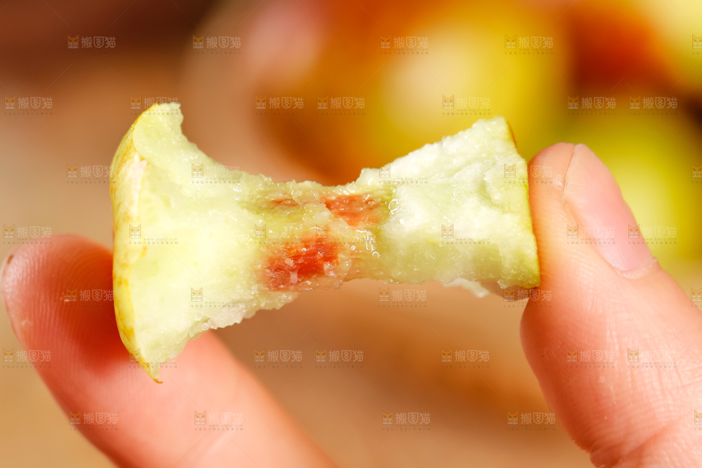 手里拿着沾化冬枣