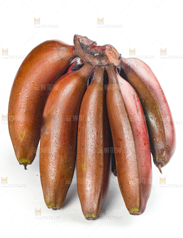 白底上的红皮美人蕉