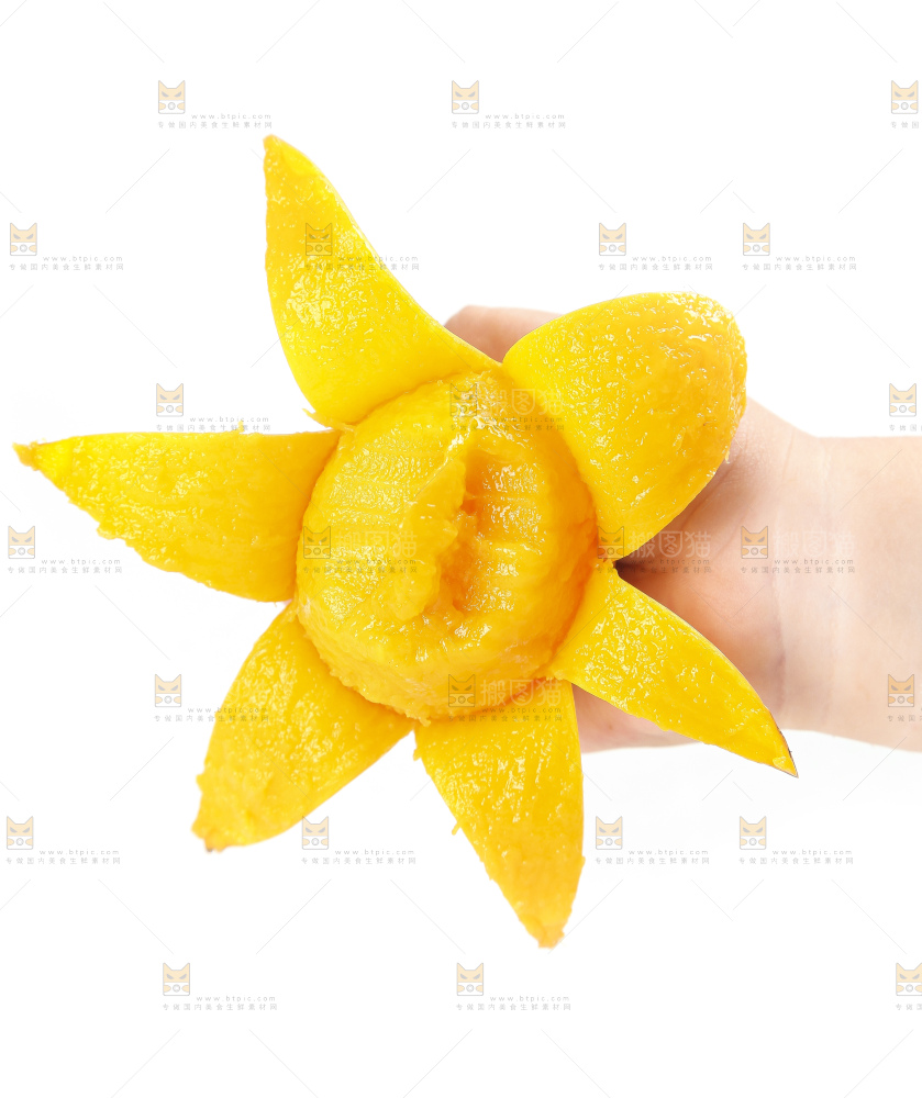 手里拿着小台农芒果肉