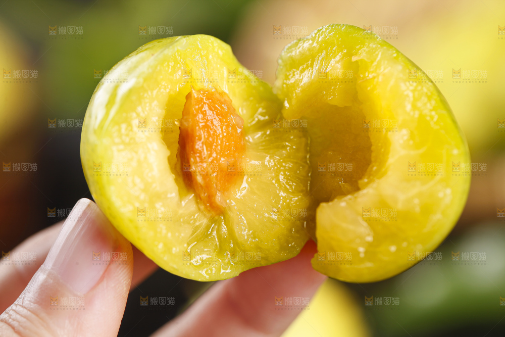 手上拿着黄金奈李