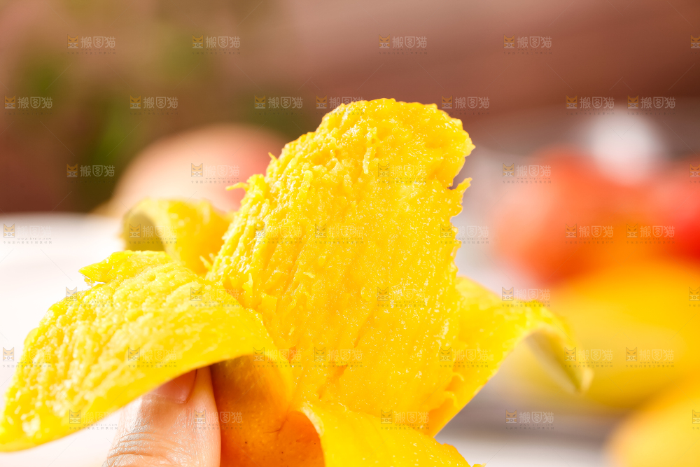 手里拿着台芒