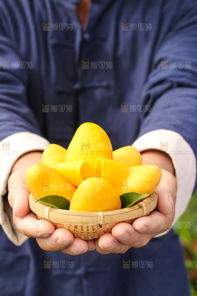 篮子里装着小台农芒