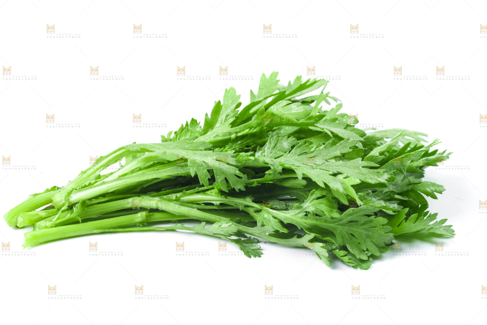 白底上的蓬蒿菜