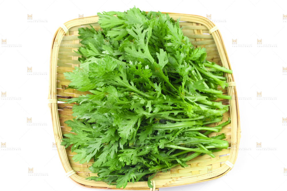 白底上的蓬蒿菜