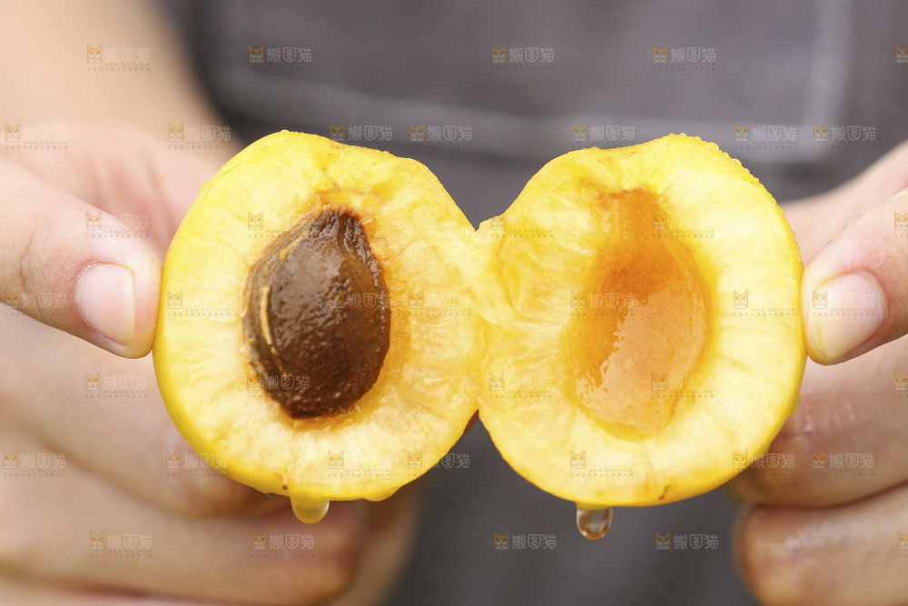 手里拿着珍珠油杏