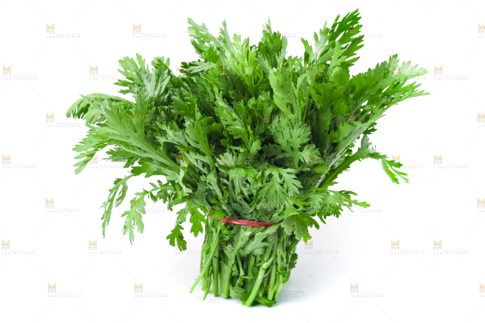 白底上的蓬蒿菜
