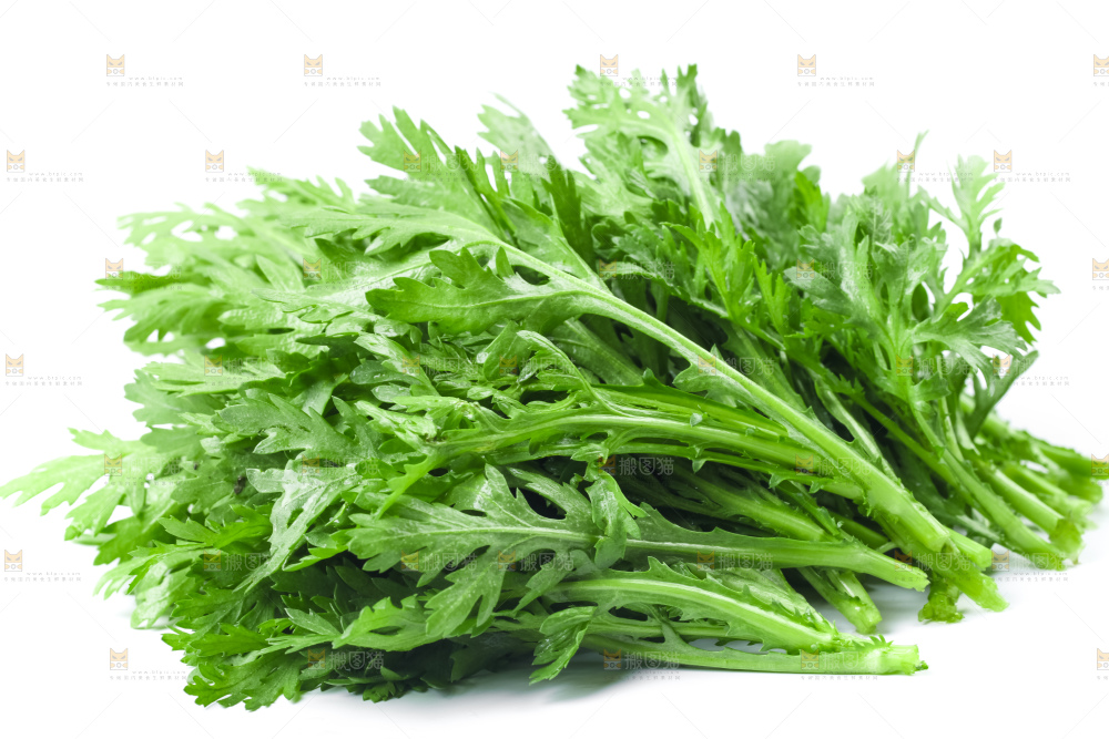 白底上的蓬蒿菜