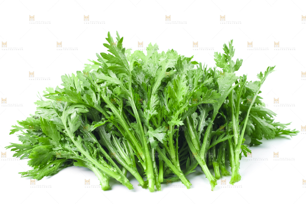 白底上的蓬蒿菜