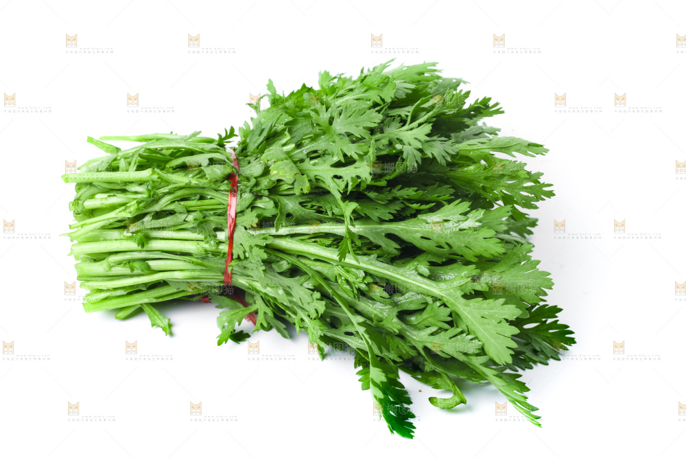 白底上的蓬蒿菜