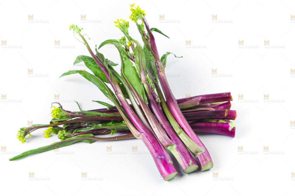 白底上的紫菜苔