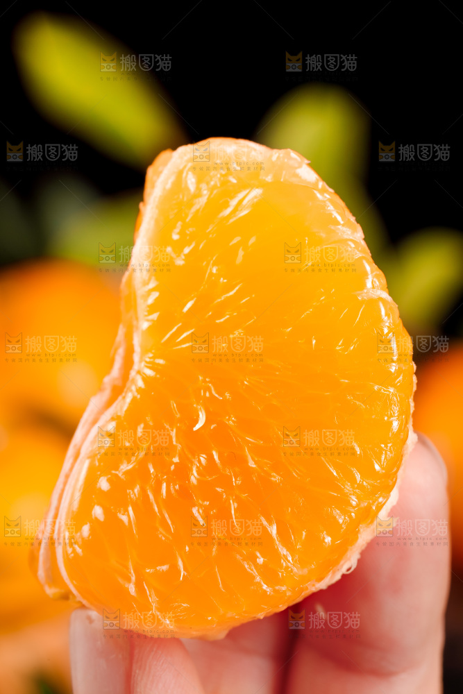 手里拿着新鲜沃柑