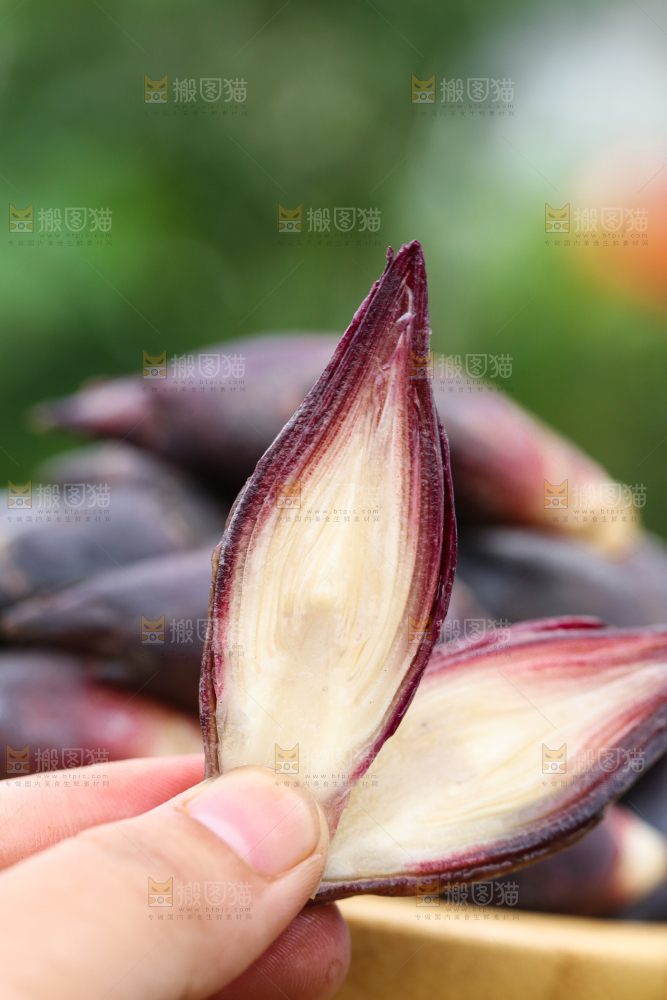 手里拿着洋火姜