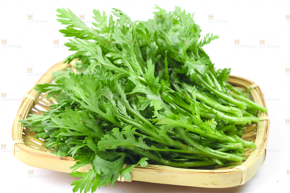 白底上的蓬蒿菜