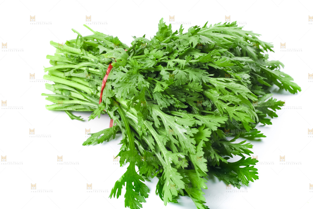白底上的蓬蒿菜