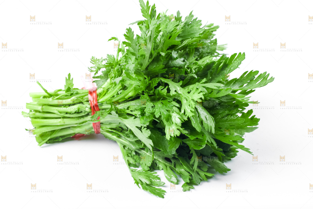 白底上的蓬蒿菜