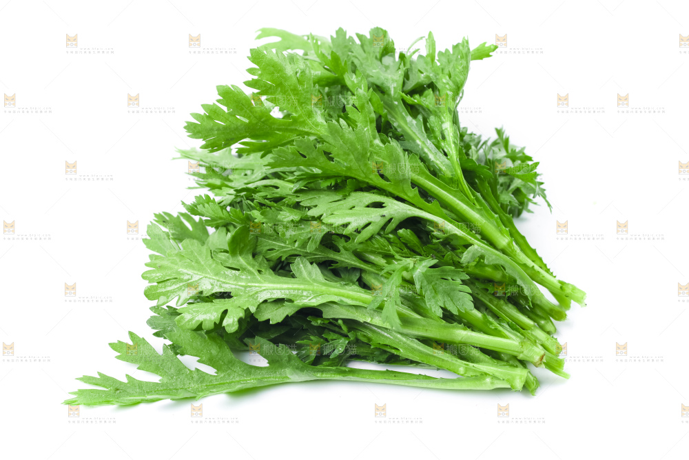 白底上的蓬蒿菜
