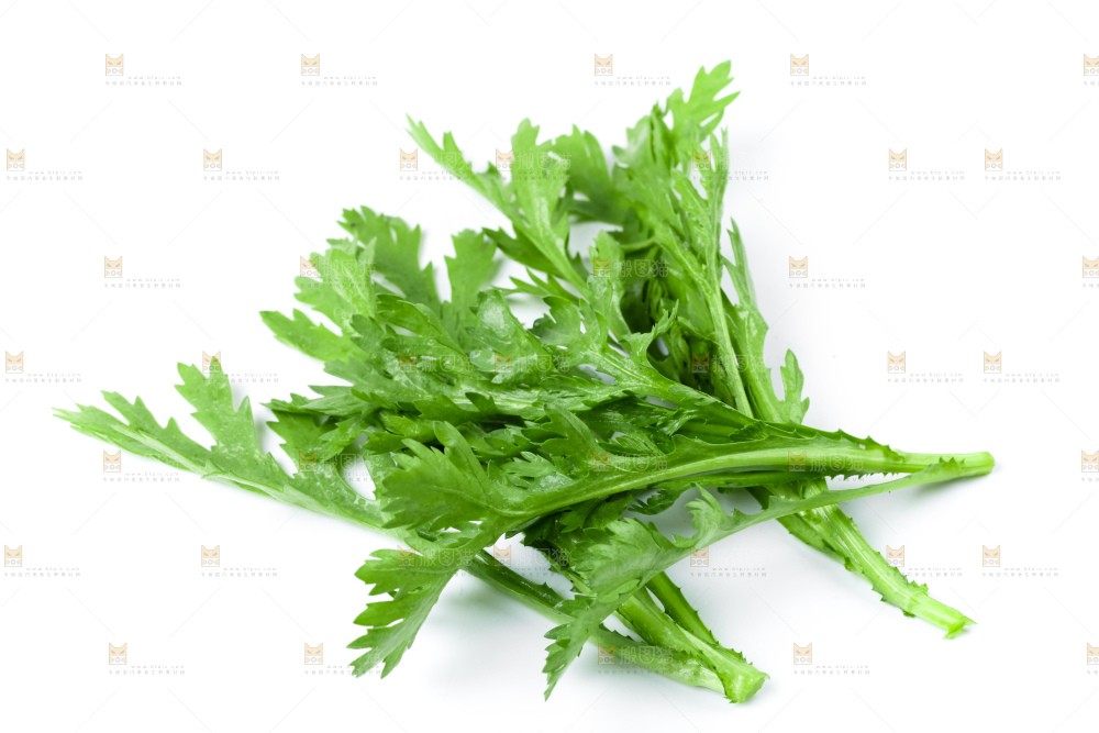 白底上的蓬蒿菜