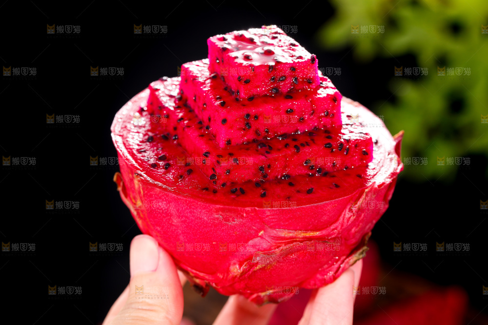 手里拿着火龙果