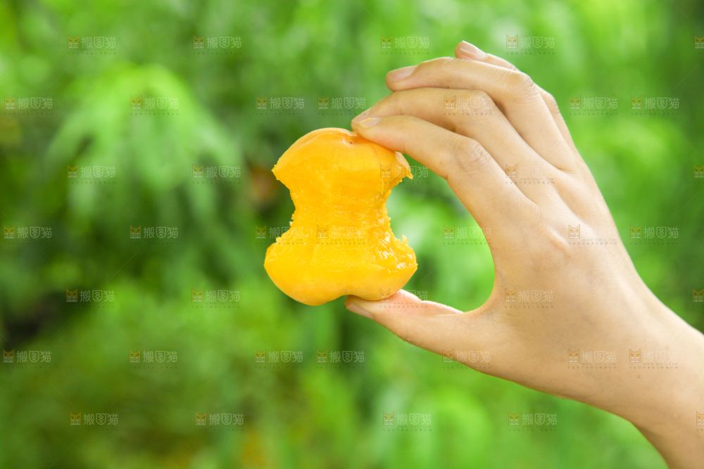 手里拿着黄肉毛桃