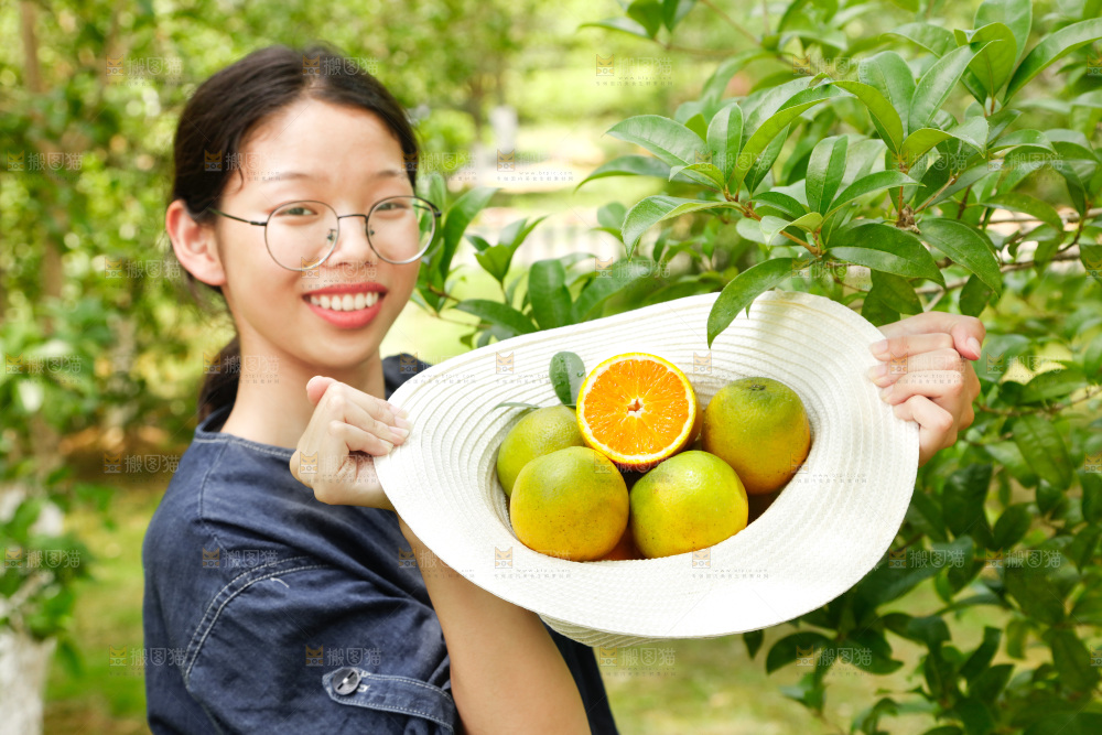 帽子里装着夏橙