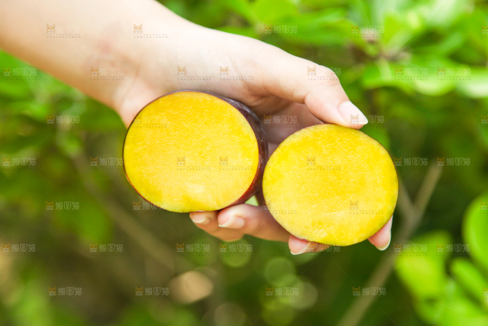 手里拿着黑布李