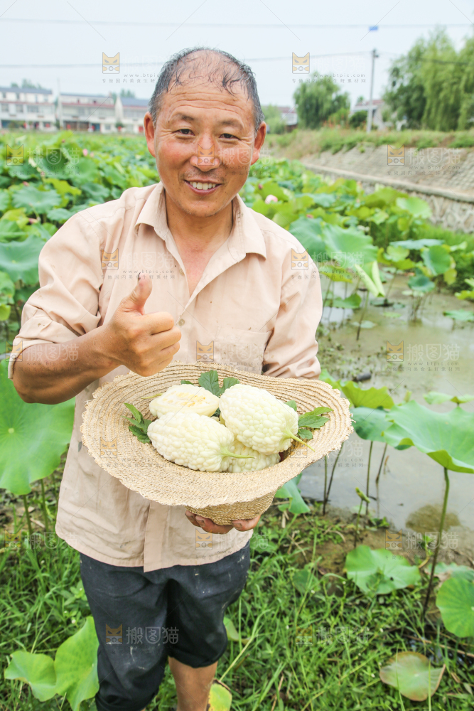 帽子里装着苹果苦瓜