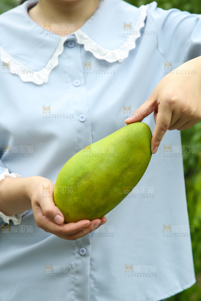 手里拿着青芒