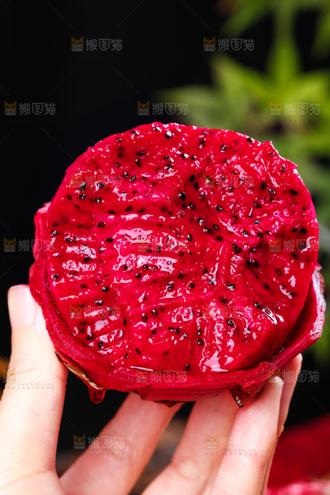 手里拿着红心火龙果