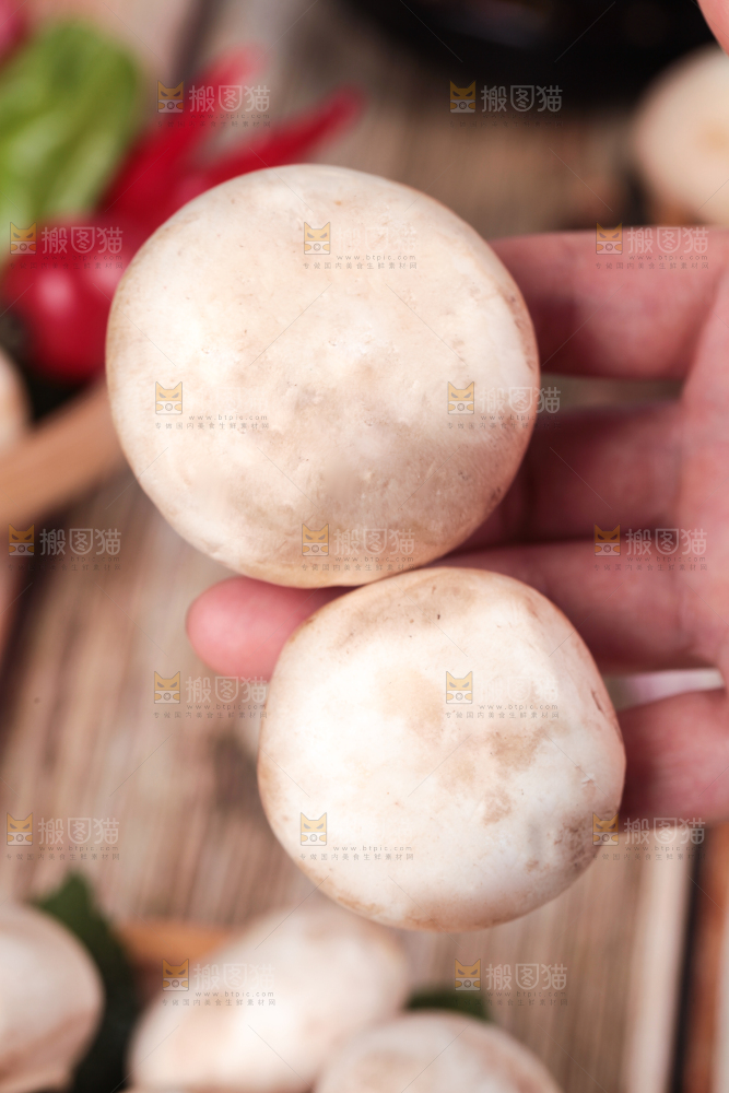 手里拿着新鲜小白菇