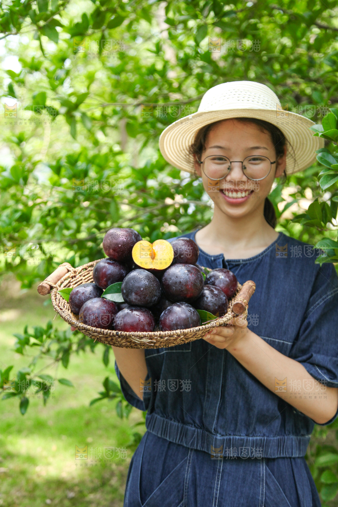 手里端着一篮新鲜黑布李