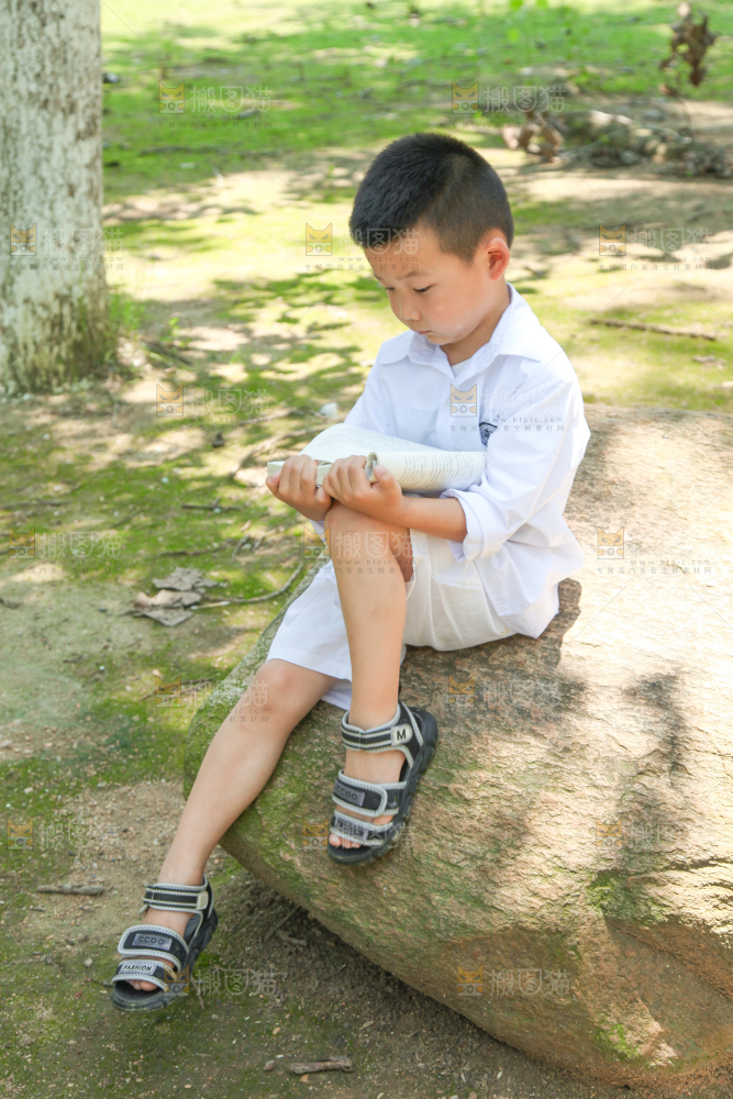 小男孩正在看书