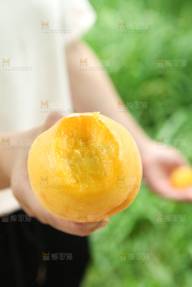 手里里拿着黄肉毛桃