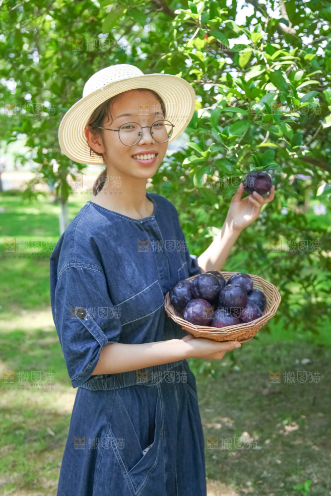 手里端着一篮黑布李