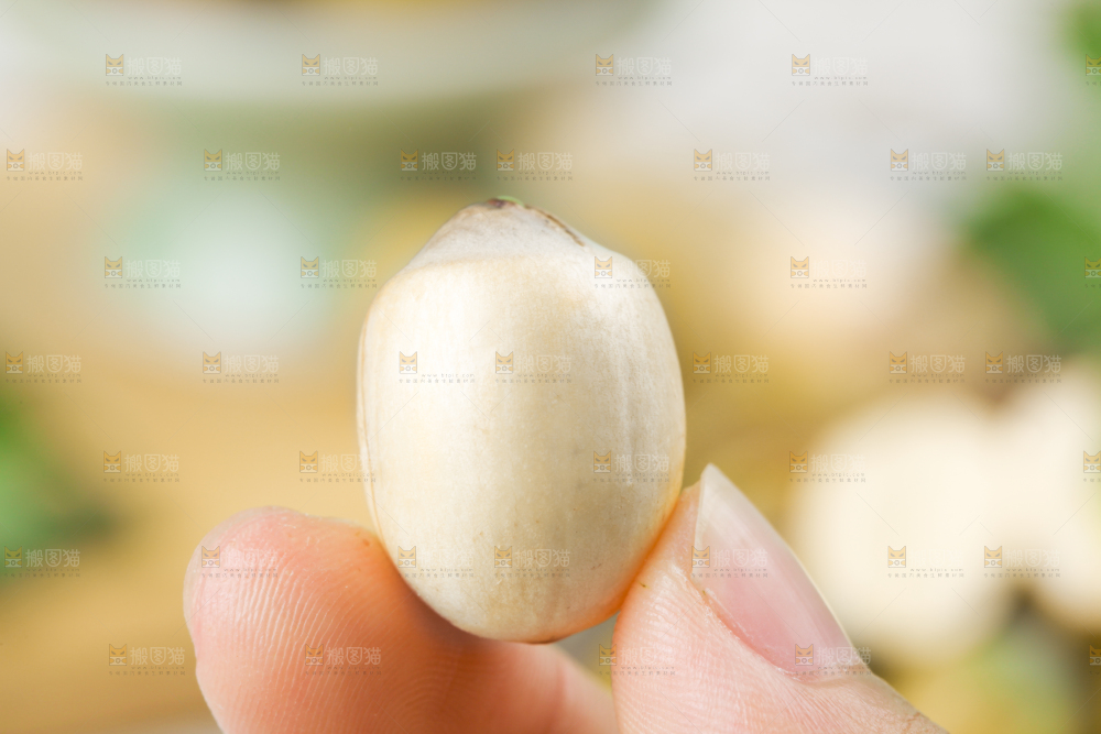 手里拿着莲子米