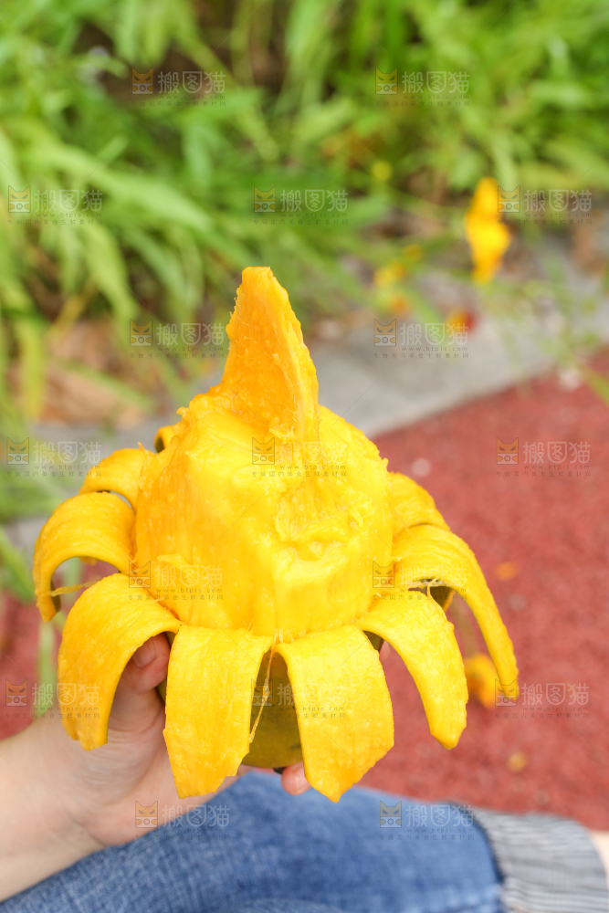 手里拿着剥皮的大青芒