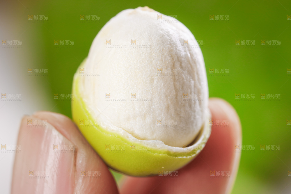 手里拿着莲子