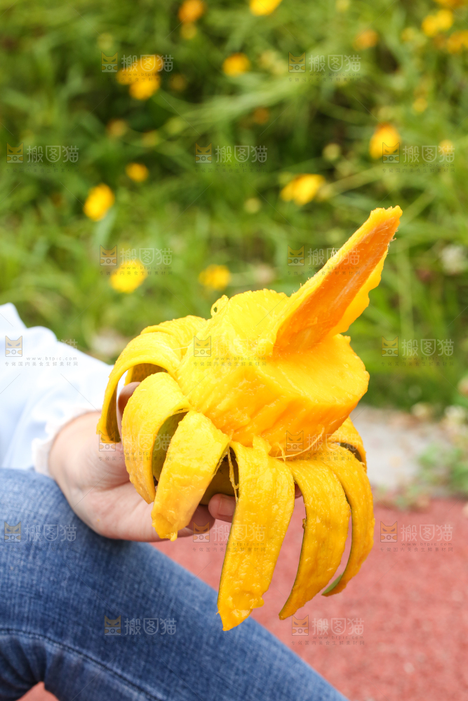 手里拿着剥皮的大青芒