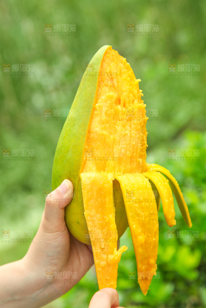 手里拿着正在剥皮的青芒