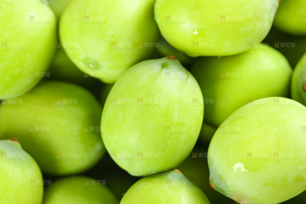 摆放着一堆的新鲜莲蓬子