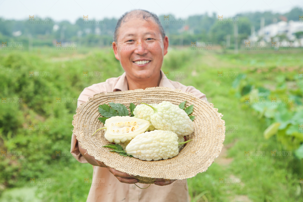帽子里装着苹果苦瓜