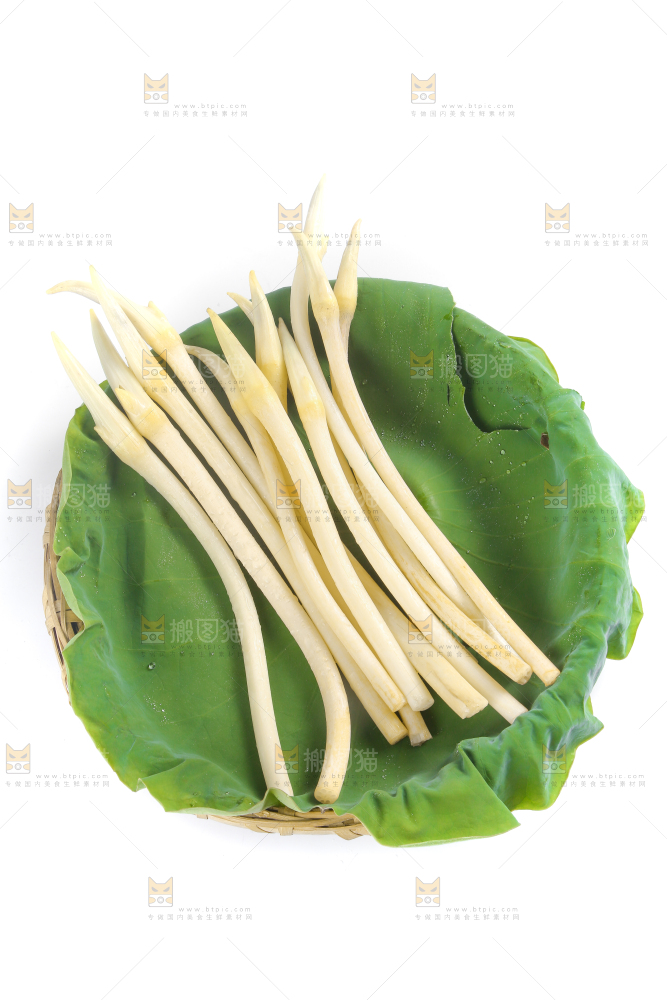 荷叶上放着新鲜藕带