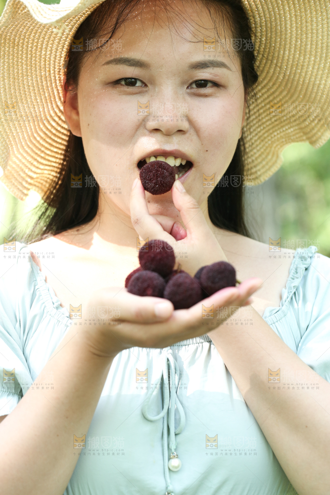 手里拿着野生杨梅