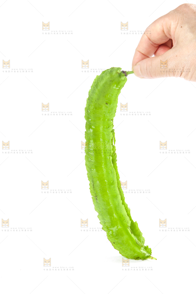 手里拿着四角豆