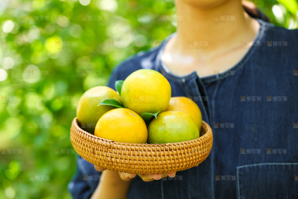 手里拿着一篮新鲜夏橙
