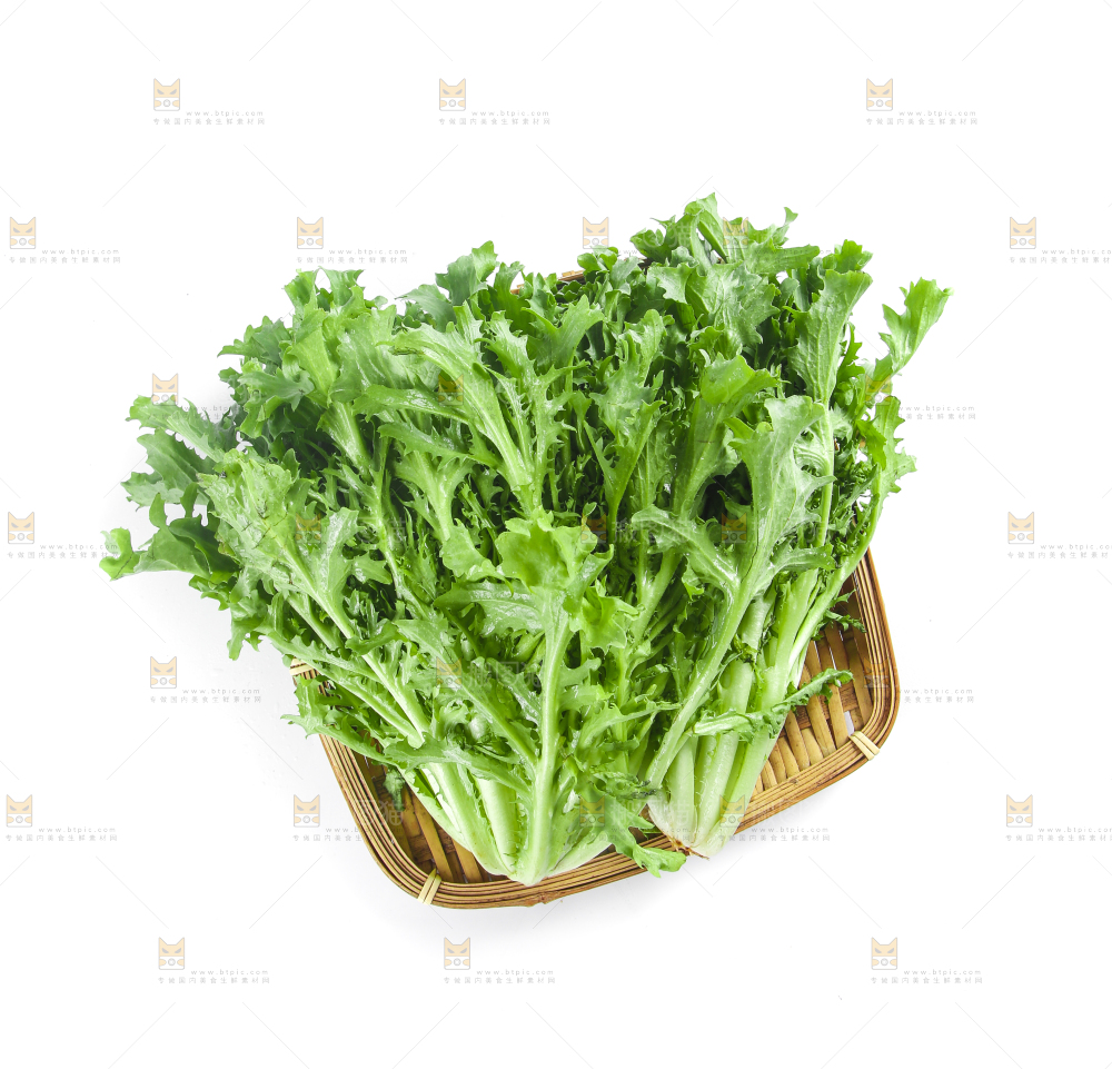 篮子里装着苦菊