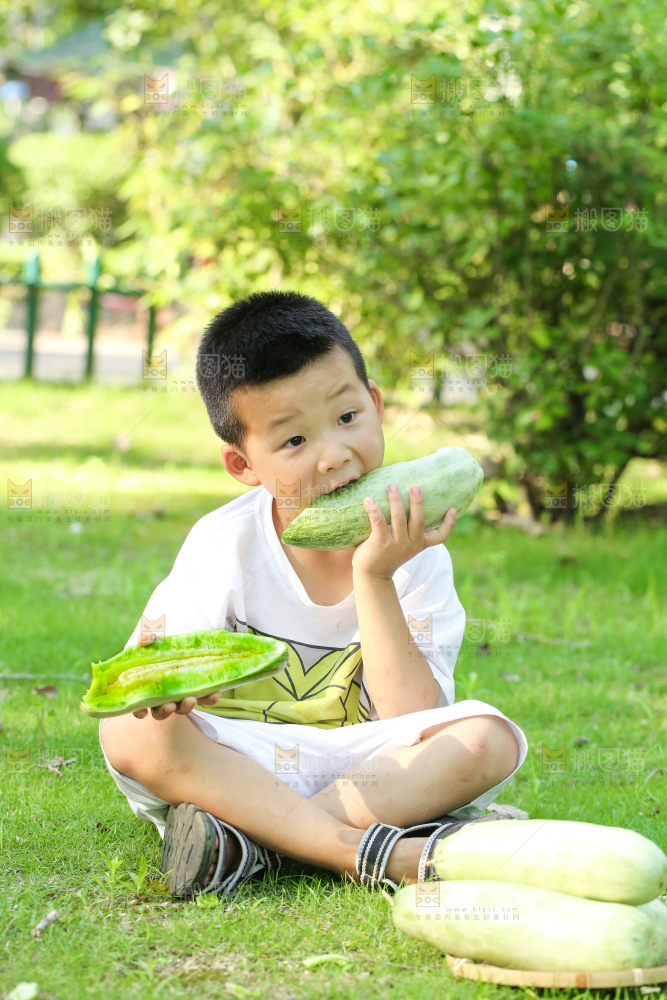 小男孩正在吃羊角蜜