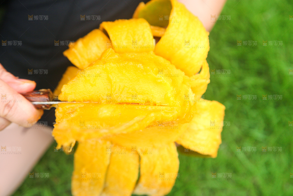 手里拿着苹果芒
