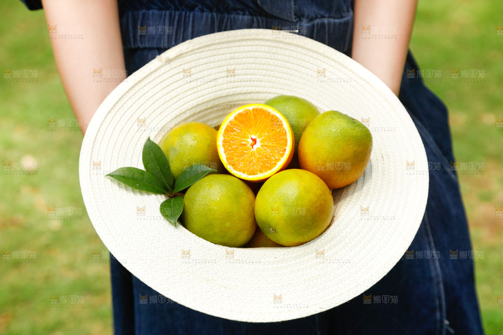 帽子里装着夏橙